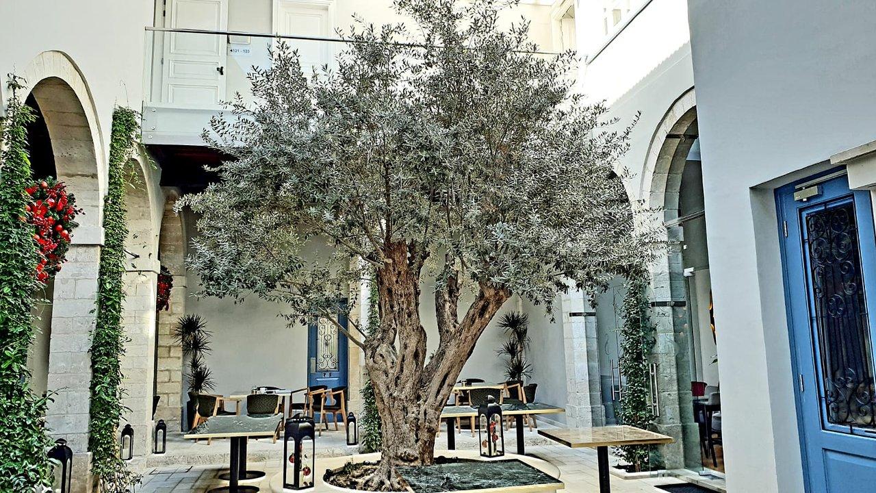 Hotel S Paul 3*