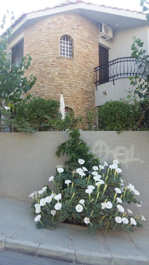 Nikola's House