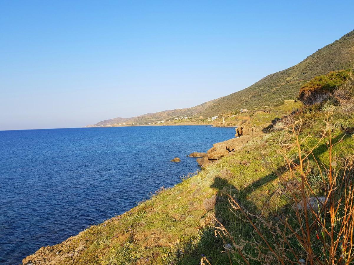 Seaclusion Vacation * Pomos