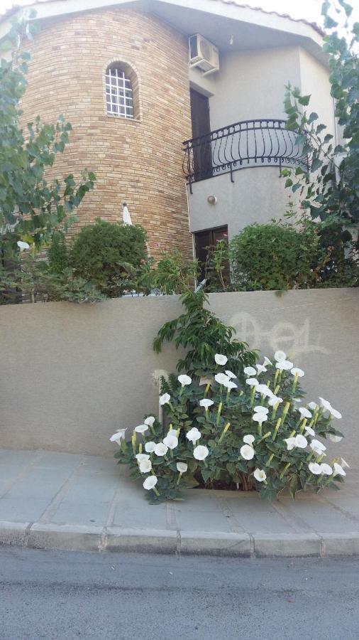 Casa de férias Nikola's House *