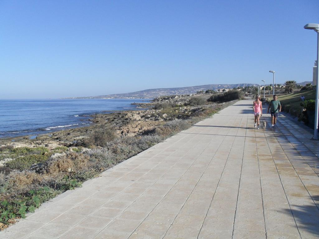 Theodora * Paphos