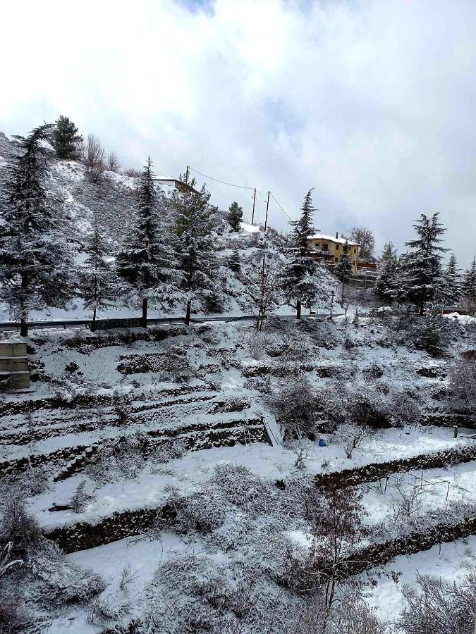 Agros Valley Aparthotel *