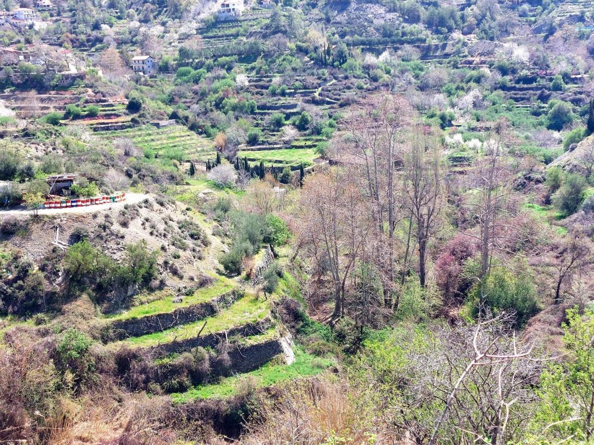 Aparthotel Agros Valley *