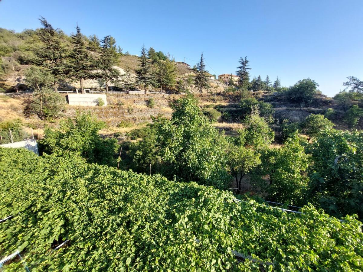 Agros Valley Aparthotel *