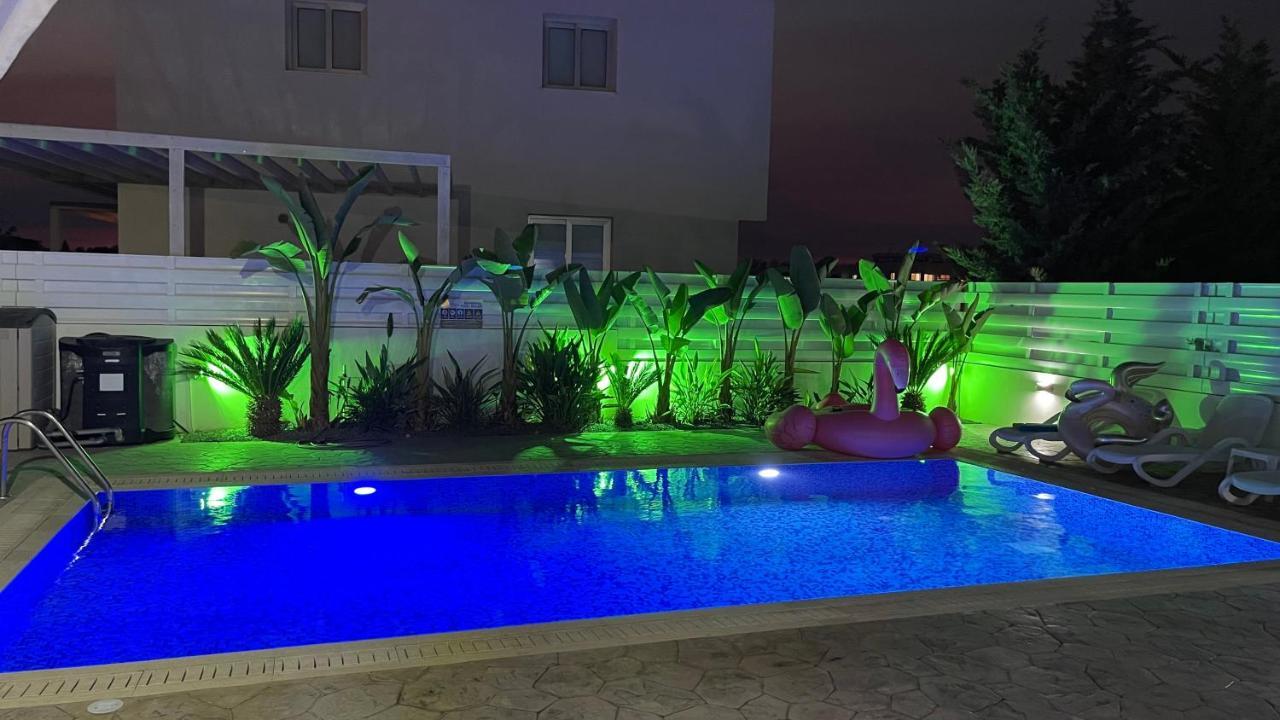 Kolibri- Mythical Sands Paralimni