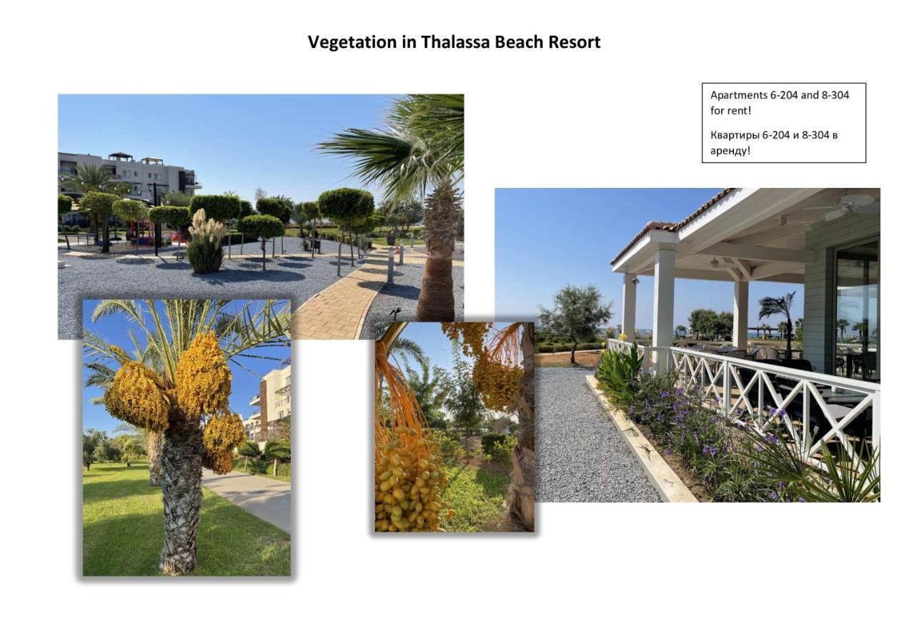 Appartement Seaside Modern For Family Vokolidha