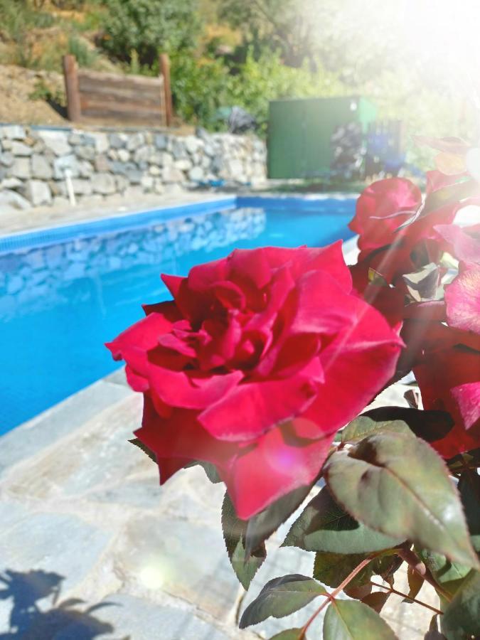 Holiday home Agrompelo House