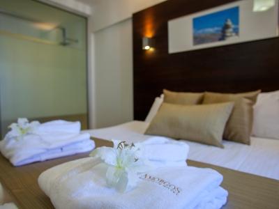 Amorgos Boutique Hotel 3*