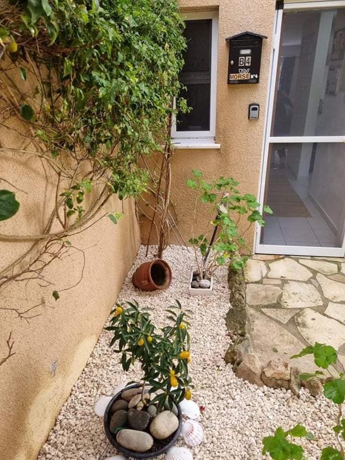Olive Tree