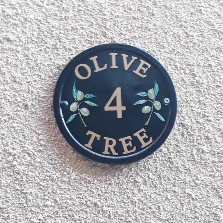 Olive Tree *