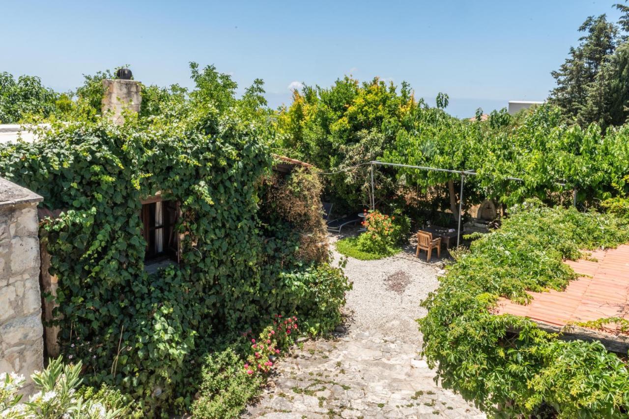 Inn Loxandra