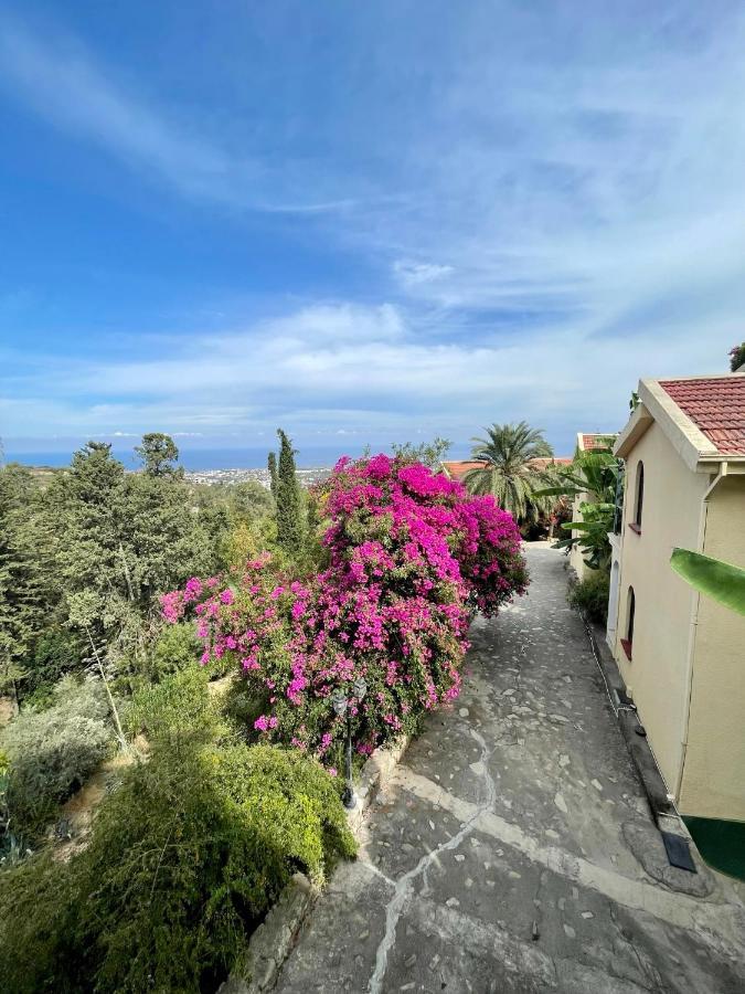 Gardens Bellapais