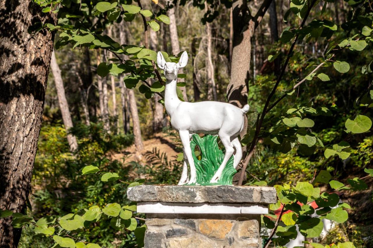 Hotel Forest Park 4*