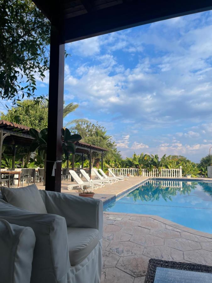 Club Alda Hotel