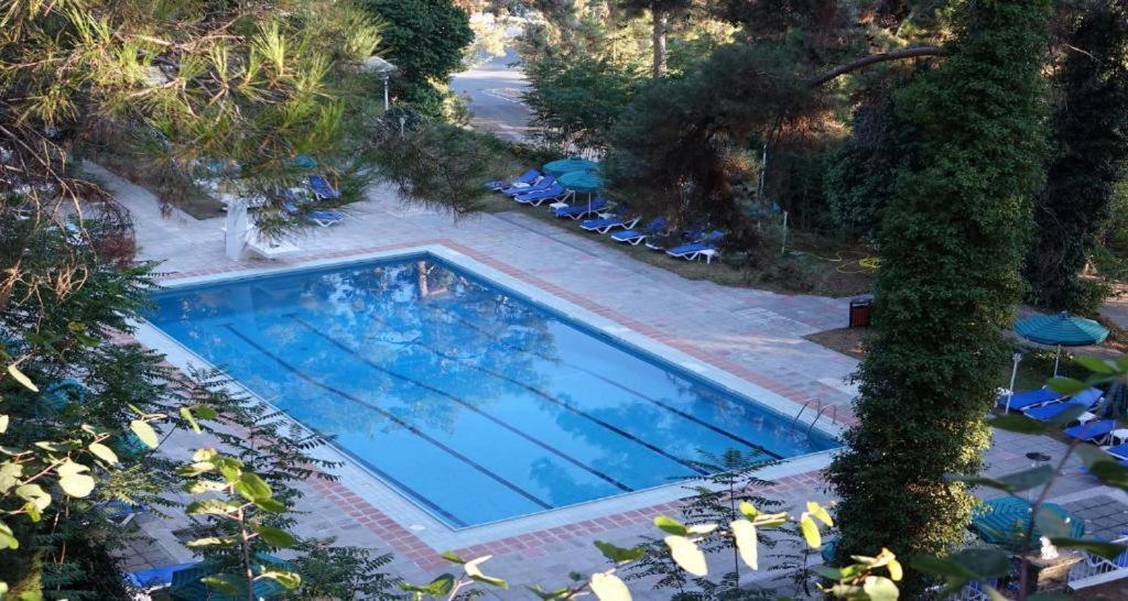 Hotel Forest Park