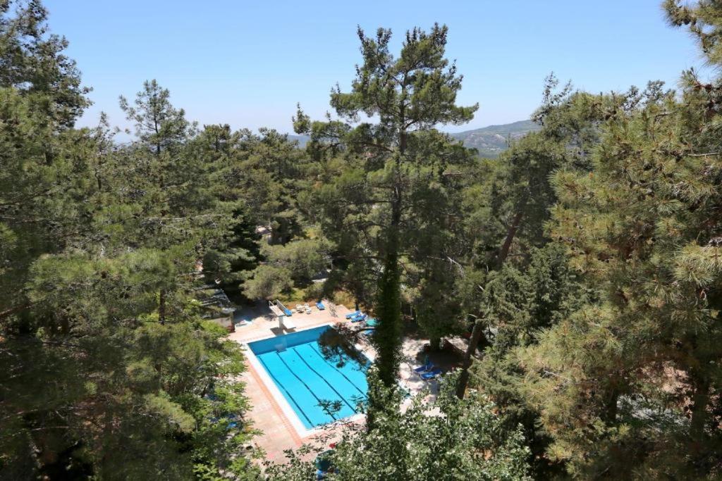 Forest Park 4* Platres
