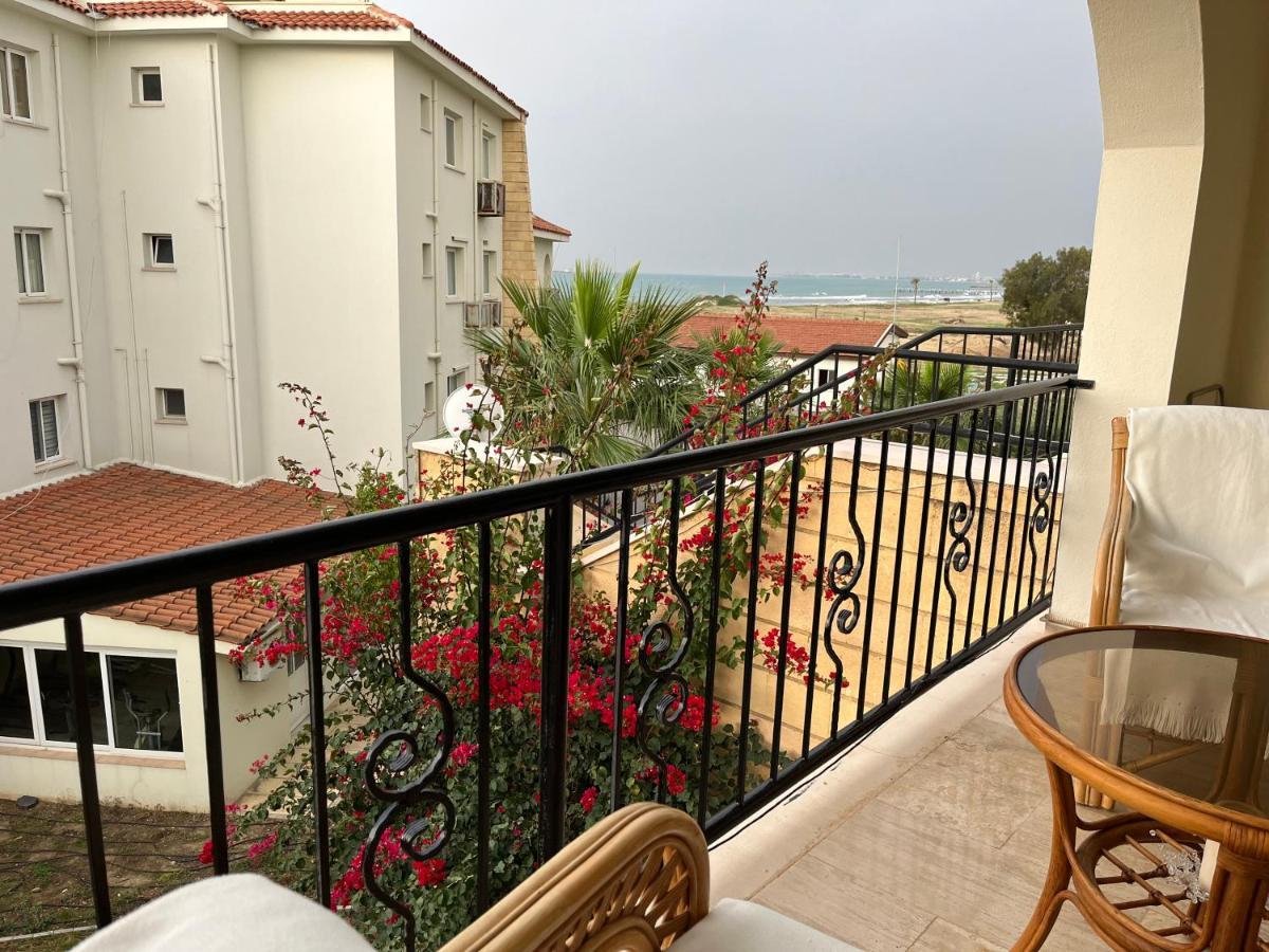 Seaview With Roof Terrace Apartment Gastria
