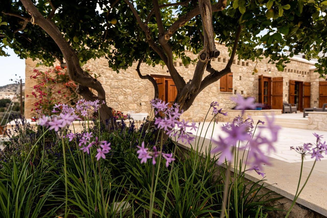 Harma Traditional Boutique Apartment Paphos