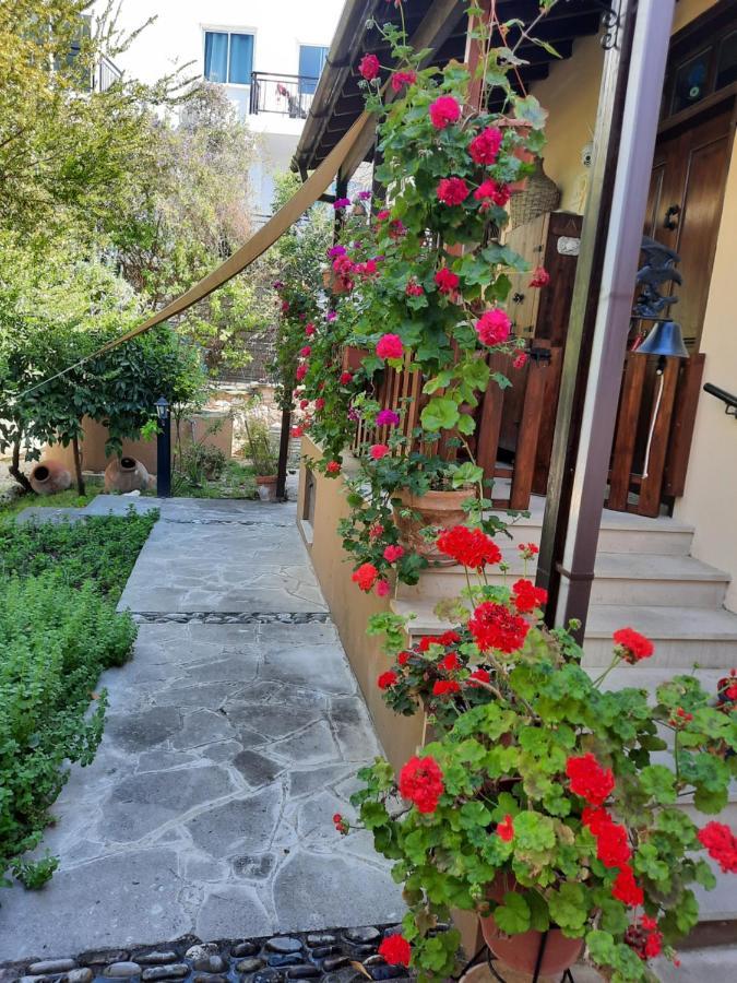 Vasilion Agrotourism Holiday home Polis