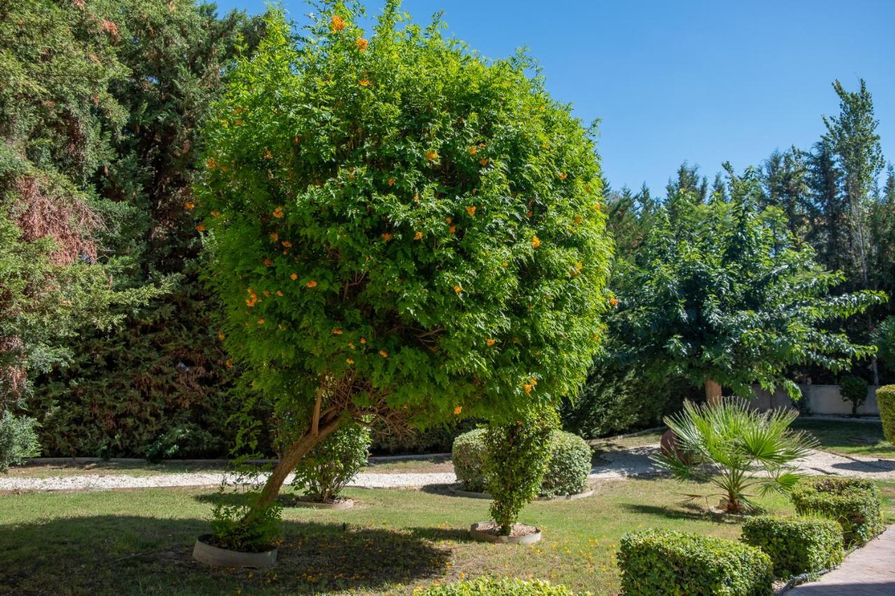 Stylish 2 Bedroom In Pegia Apartment