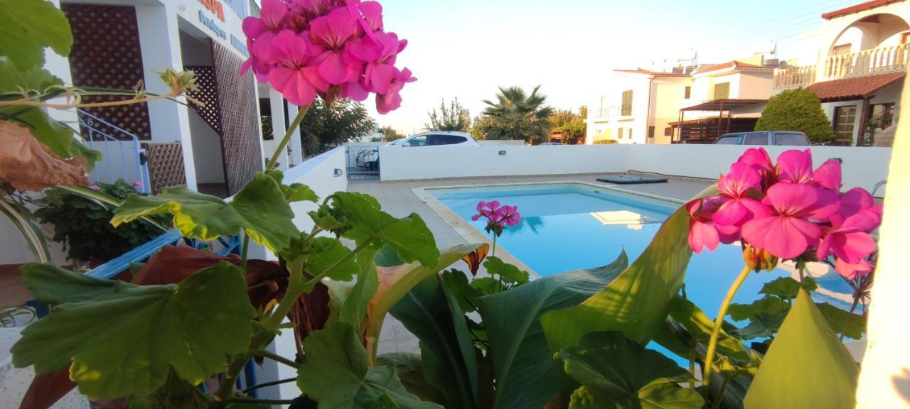 Thalassa Seaside Boutique