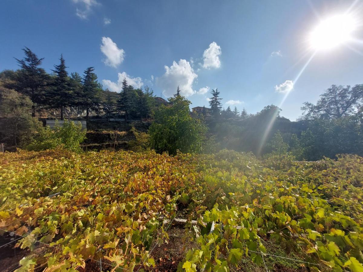 Agros Valley *