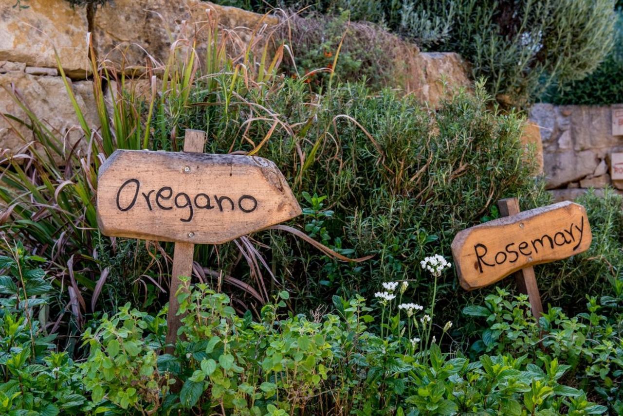 Hotel Secret Forest - Wellness Retreat & Healing (adults Only) 4*