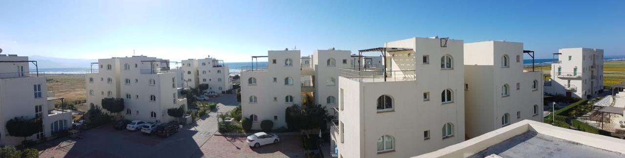 Apartment Aphrodite Beachfront Penthouse
