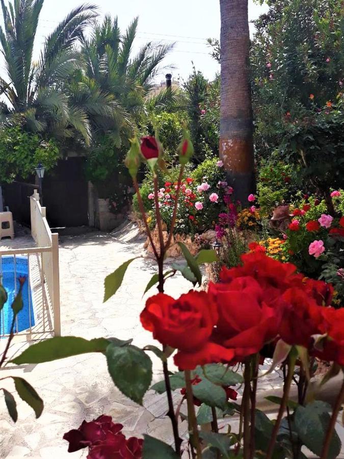 Rose Garden * Peristerona (Paphos)