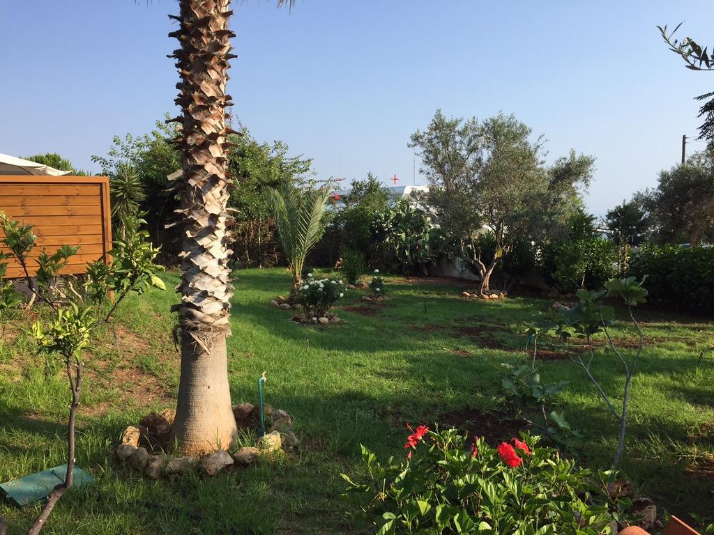 Yvonne * Paphos