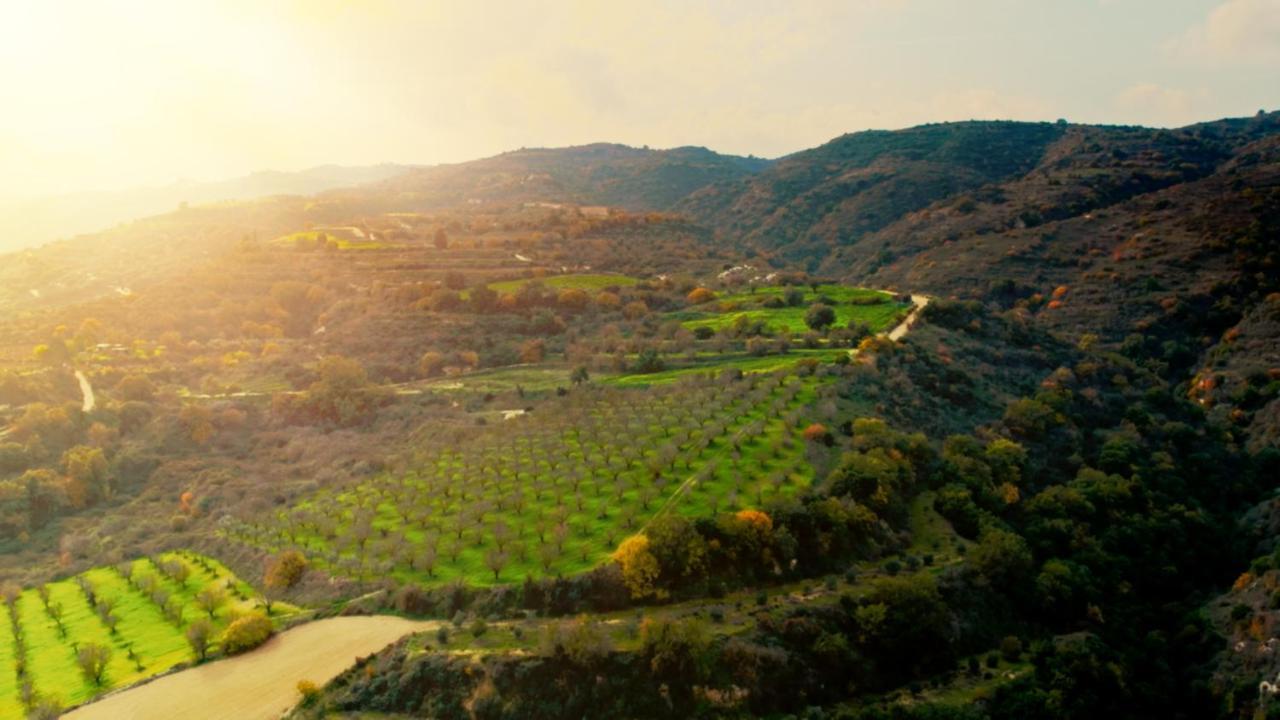 Hotel Secret Forest - Wellness Retreat & Healing (adults Only) 4*
