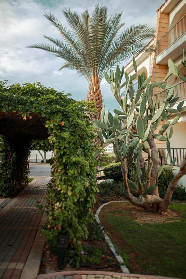 Fantastic 4 Cyprus First Line Beachfront Appartement