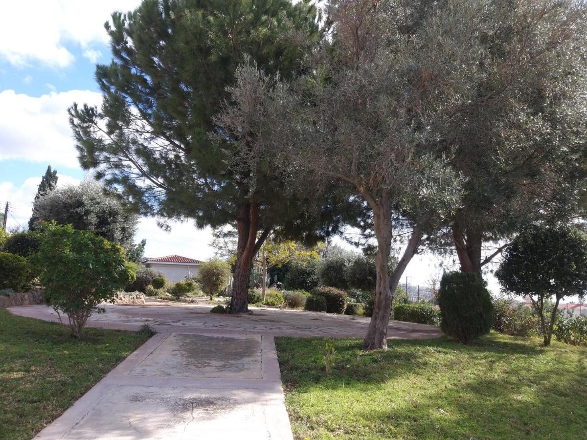 Gardens *