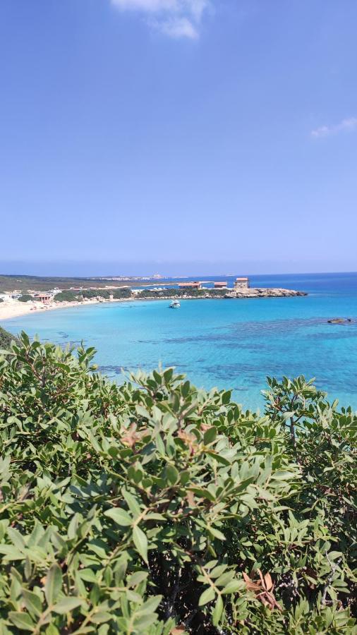 Fantastic 4 Cyprus First Line Beachfront Appartement Boghaz