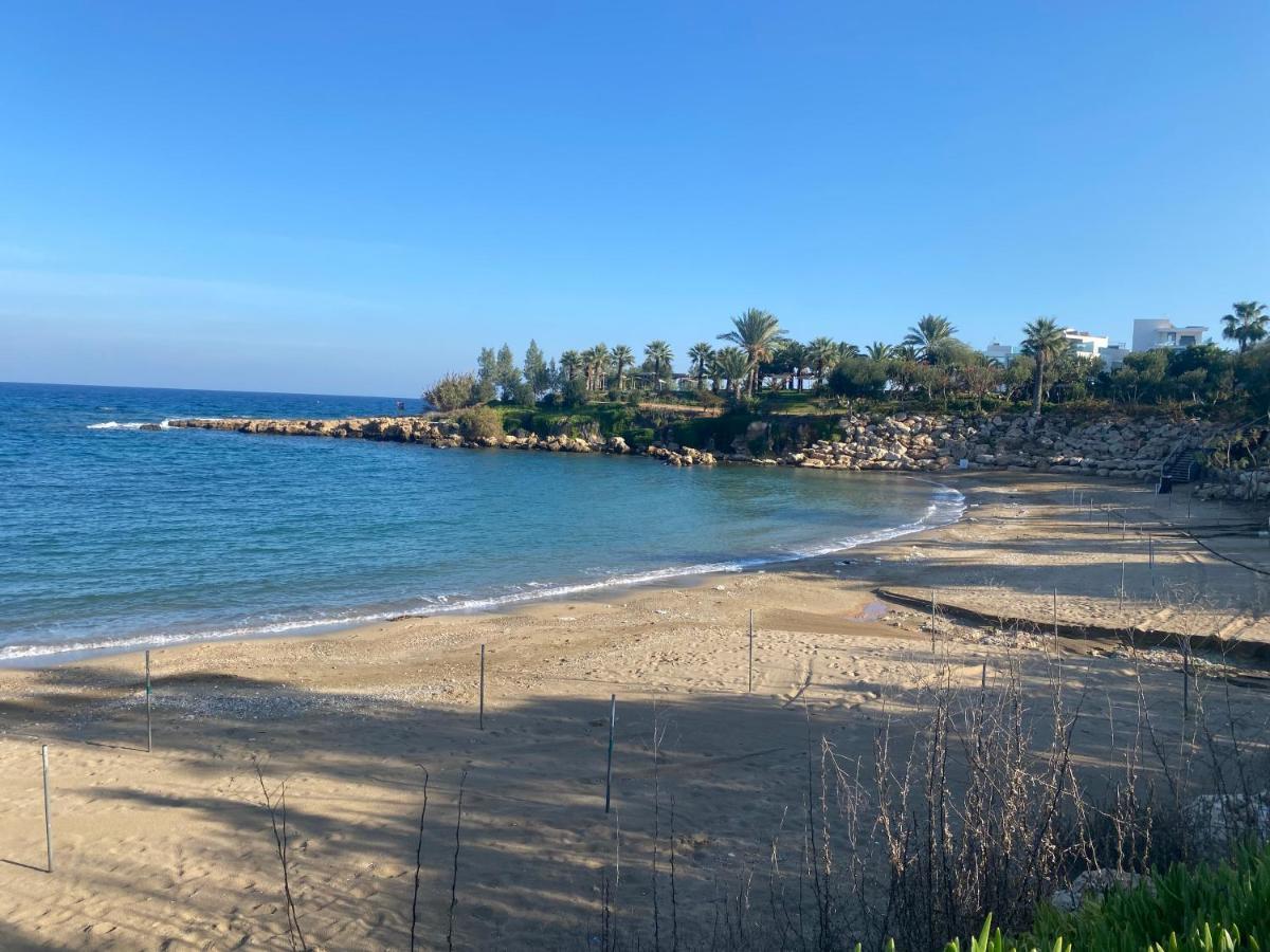 Villa Olive Tree -
