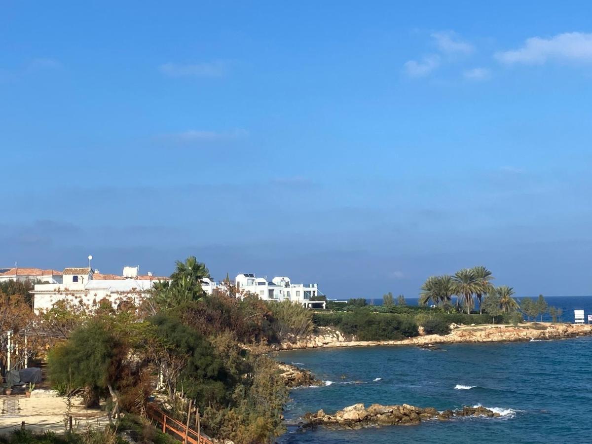 Villa Olive Tree -