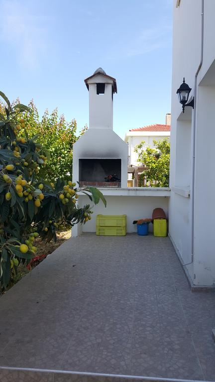 Olive Tree Lapithos (Northern Cyprus)