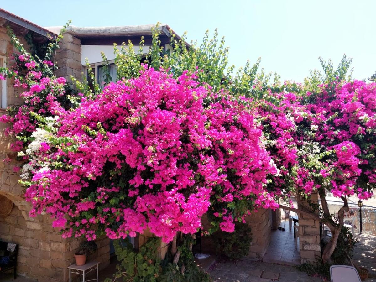 Country house Cyprus Villages & Restaurant - Location - - With Access To Pool And Stunning Views Tochni
