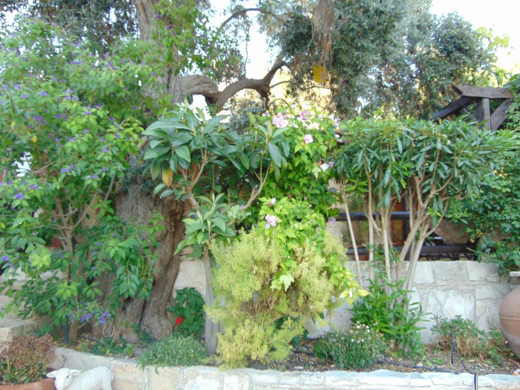 Walnut Grove * Vouni