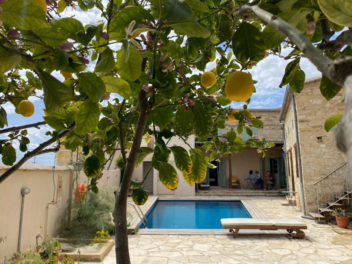 Apartment Evkarpos