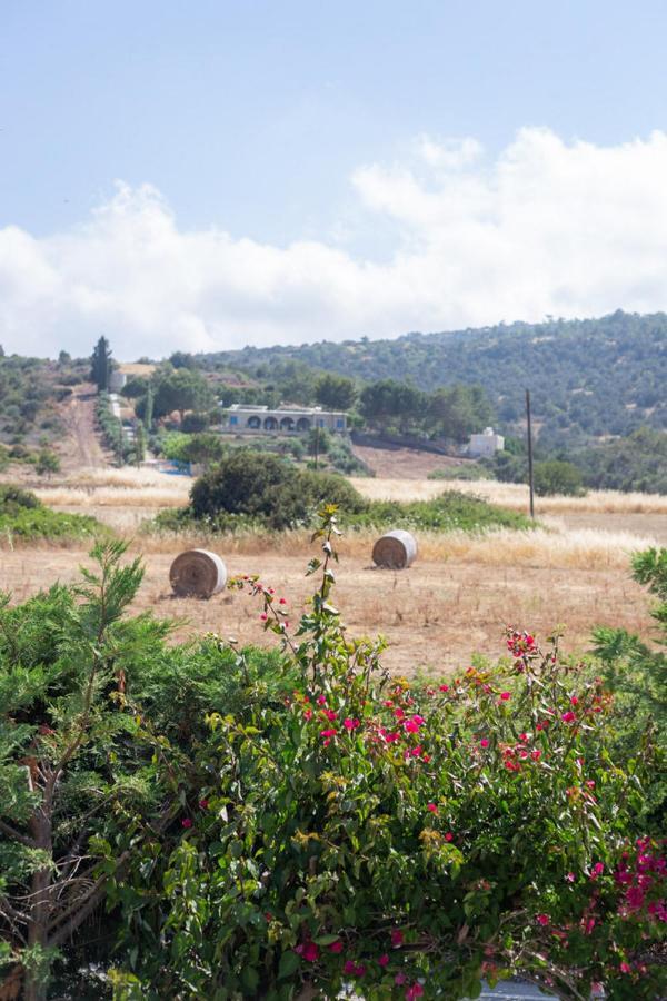 Rafaella In Latchi With Private Garden Villa