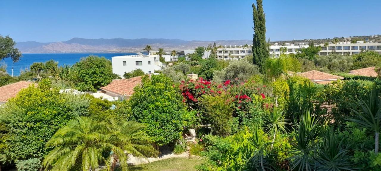 Villa Rafaella In Latchi With Private Garden Polis