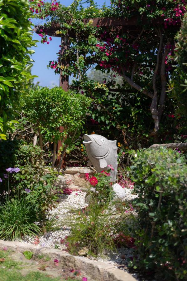 Rafaella In Latchi With Private Garden * Polis