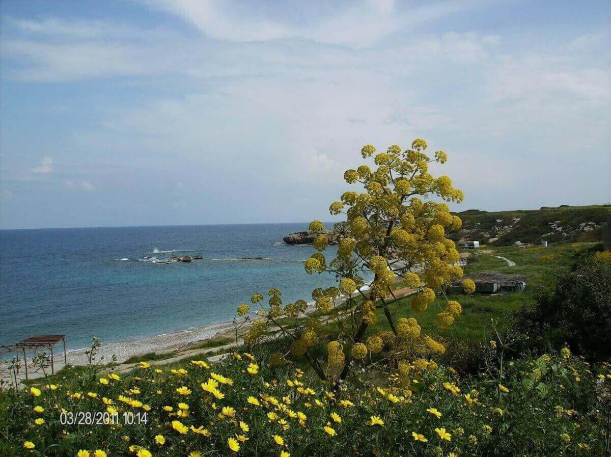 Appartement Marina B 16 - Tatlisu Trnc Akanthou