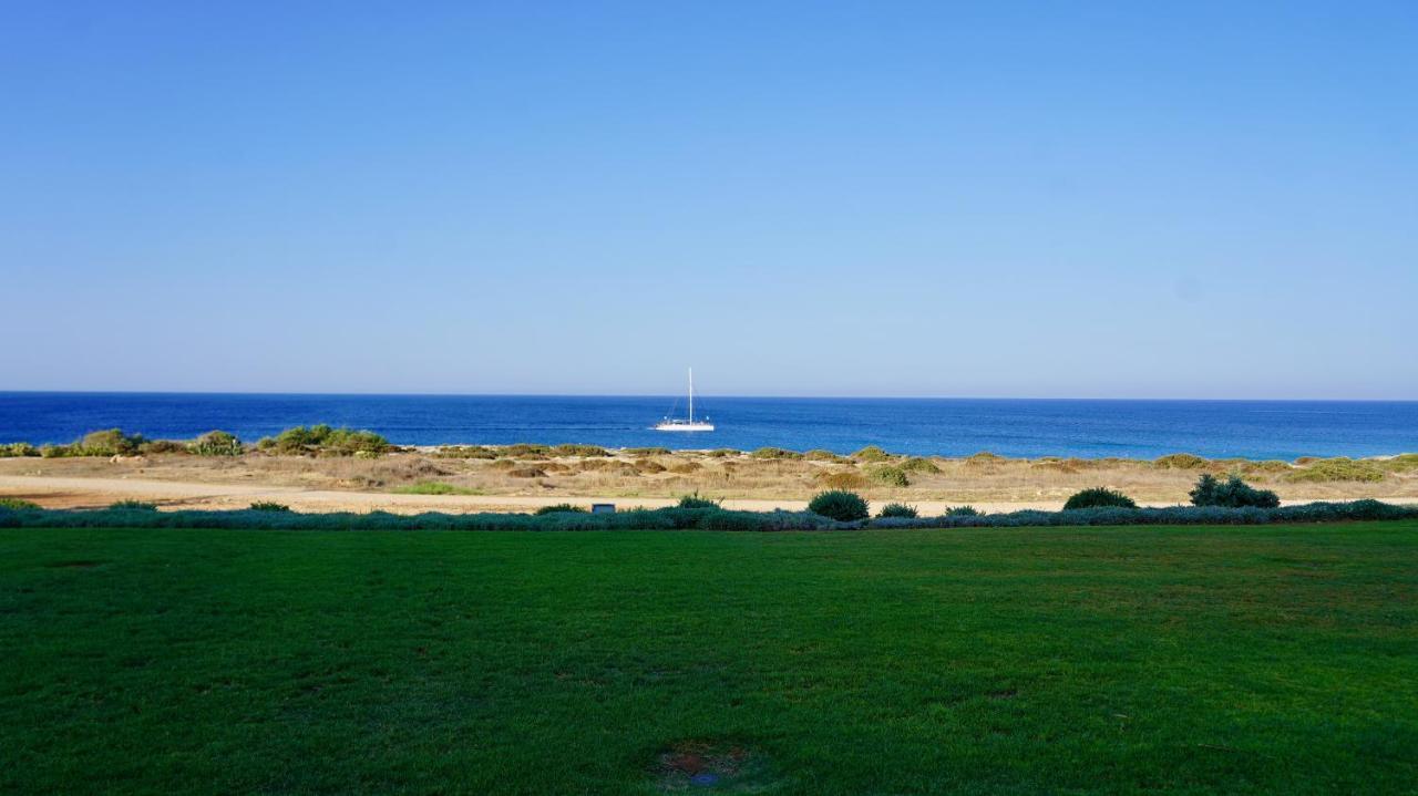 Narcissus 19 Villa Paralimni