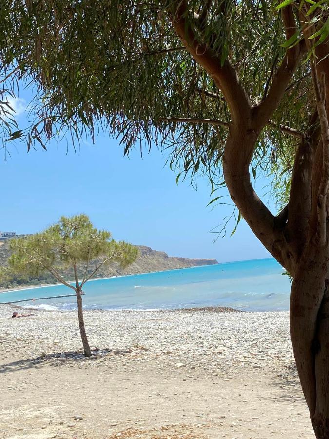 Chariandry Court Apartment Pissouri