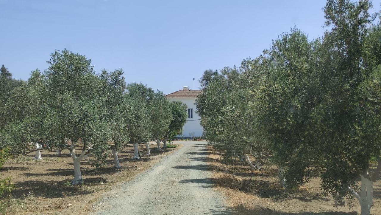 Village Villa, Cyprus, Salt-water Pool, 6 Bedrooms, Larnaca *
