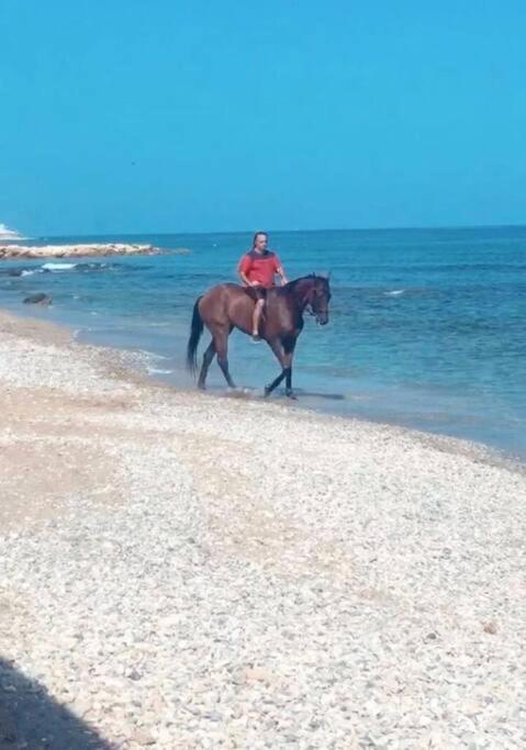 High By The Beach House In Girne Vakantiehuis Agios Georgios (Kyrenia)