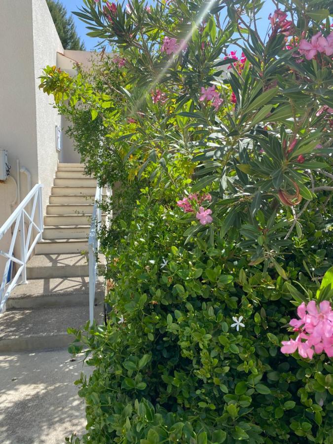 Sea View In Coral Bay Apartment Peyia