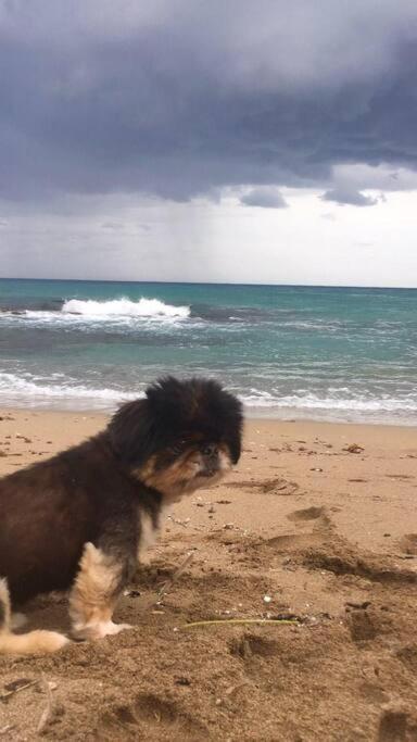 High By The Beach House In Girne * Agios Georgios (Kyrenia)